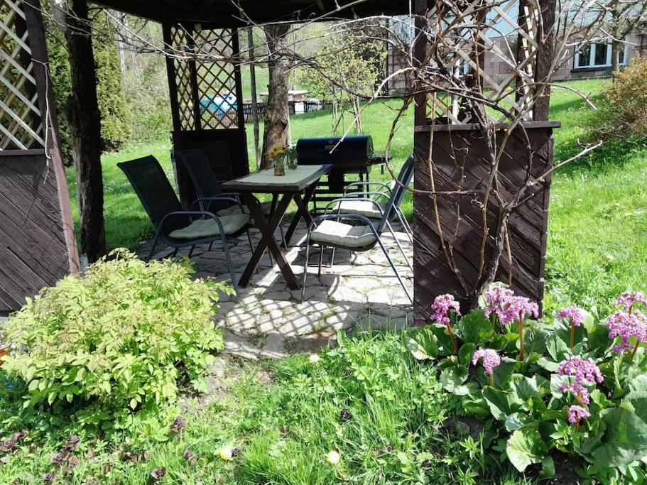 Cicha Blisko Natury Apartment Mizerna