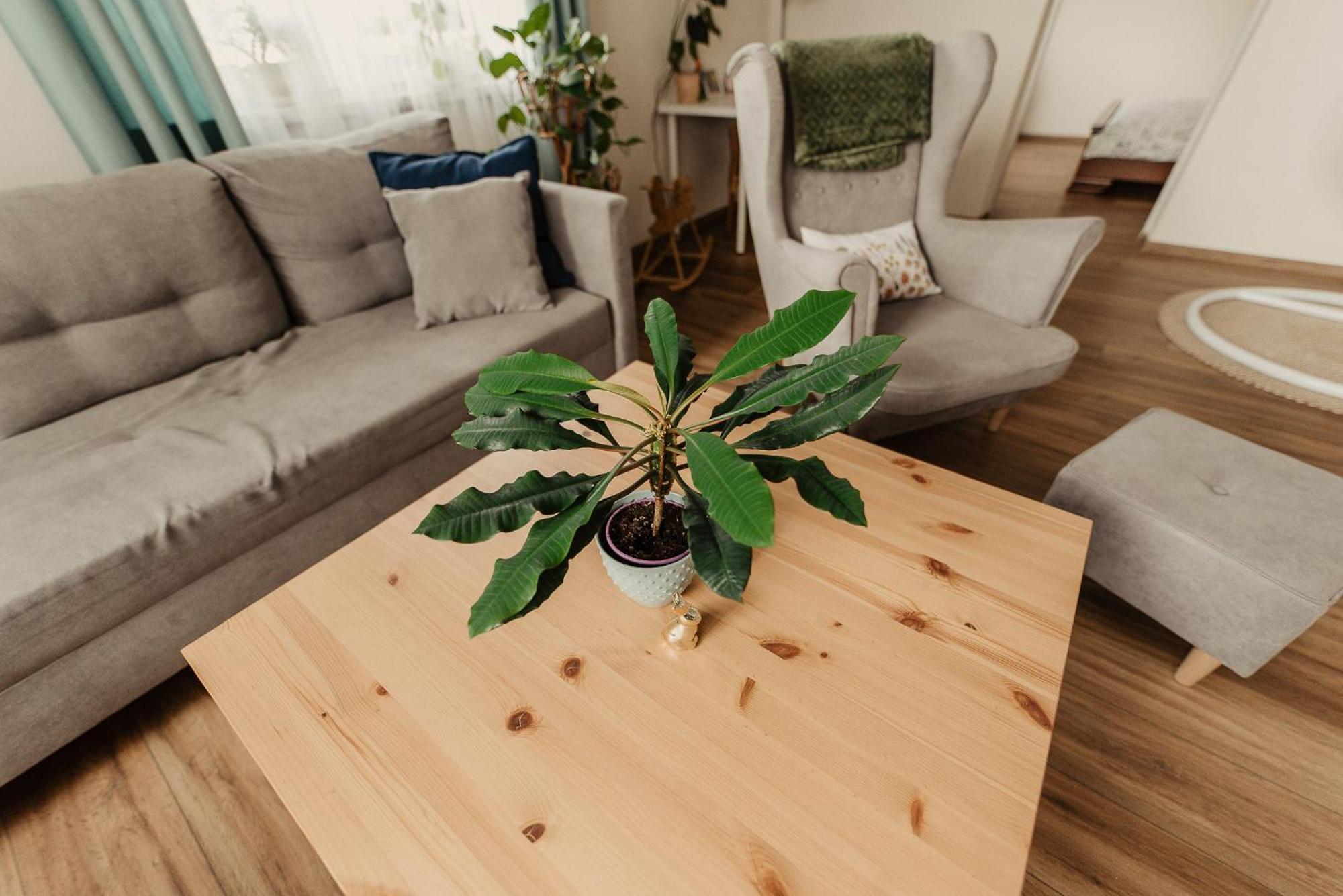 Apartment Cicha Blisko Natury